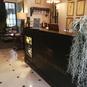 https://hotel-de-la-treille.lillehotels.org